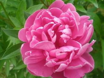 Bed & Breakfast Casa Gamberini