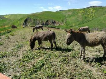 Agroturismo Agriturismo Le 5 Pietre