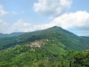 Locazione Turistica Fattoria Di Pietrabuona - Pca116