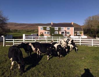 Hostal Murphys Farmhouse B&B