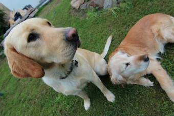 S�lheimar Studio Apartment