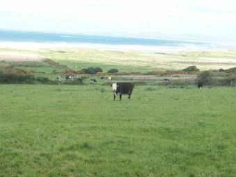 The Watersedge Cottage