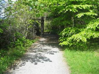 Arnolds Hotel & Riding Stables