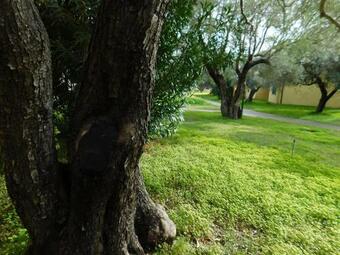 Apartamento Verde Mare Beach Holidays