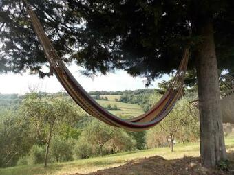 Agroturismo Agriturismo L'alboreto Salvatico