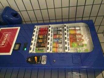 Sky Hotel Uozu Annex