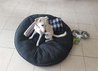 Hotel Boutique Venedik