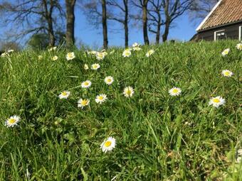 Boerderij Hotel Orvelte