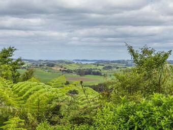 Matakana Views - Matakana Holiday Home