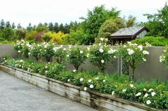 Apartamento Belle Maison French Country Stay