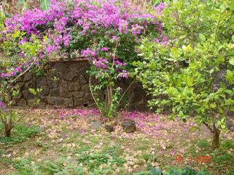 Apartment With One Bedroom In Saint Pierre With Enclosed Garden And Wifi 15 Km From The Beach