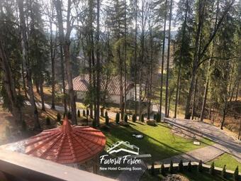 Hotel Pensiunea Favorit Ferice