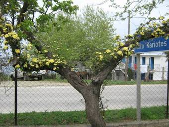 Hostal Asprovalta Rooms