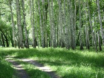 Hotel ????????? ????