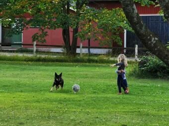 Hotel Vidinge G�rd