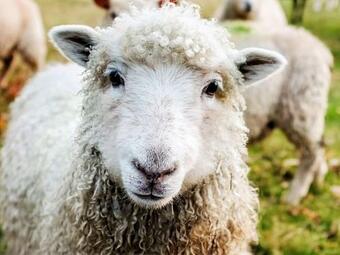 Holiday Home Tomelilla