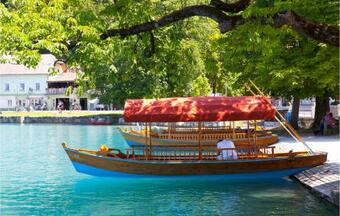 Amazing Apartment In Begunje Na Gorenjskem W/ Wifi And 2 Bedrooms