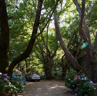 Apartamento Tasoula Parselia Studios