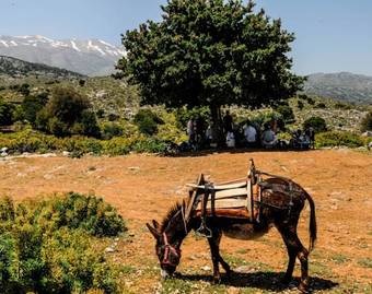 Apartamento Enagron Ecotourism Village