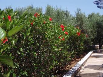 Apartamento Villas Michalis