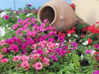 Aparthotel Futura Hotel