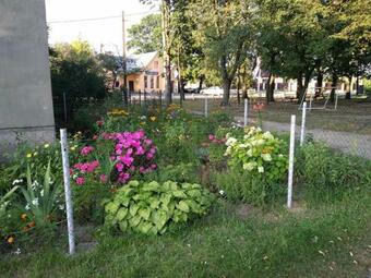 Apartamento ???????? ? ??????