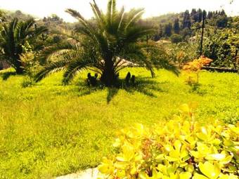 Hostal Alex Guest House