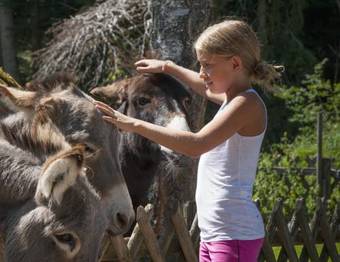 Apartamentos Ferienappartements Landhof