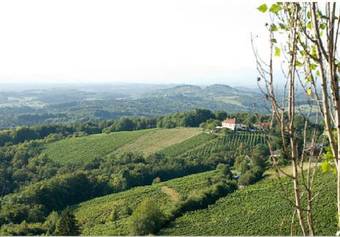 Hostal Hotel Restaurant Zur Alten Post