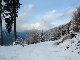 Apartamento Ferienwohnungen Sch�pf