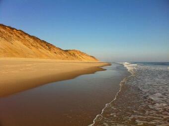 201 Central Yet Secluded Location Architectural Modern Home 5 Mins To Beach