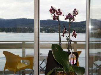 Apartamento Seehaus Gaby