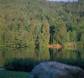 Hostal Landgasthof Trattnig