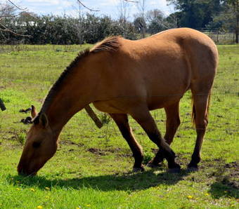 Lodge El Ranchito De Areco