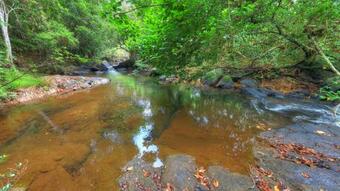 Bed & Breakfast Riversong Retreat