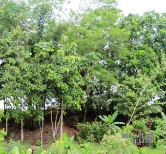 Apartamento Suites La Gloria