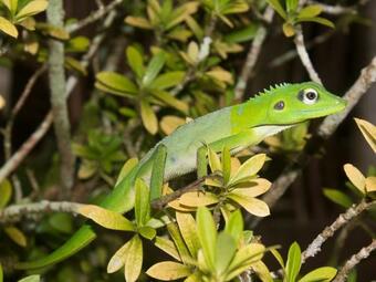 Hotel Cubadak Paradiso Village