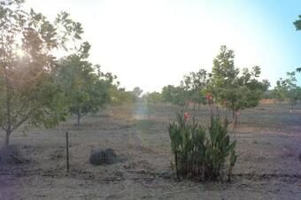 Lodge Hosting Orchard