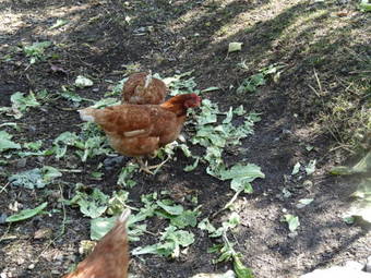 Hotel Hostal Casa Laplaza