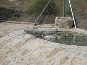 Apartamento Casas Rurales Victoria