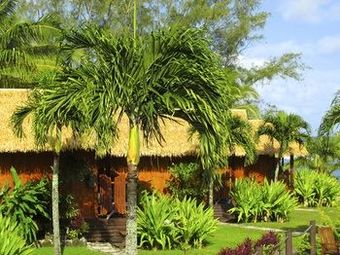 Hotel Magic Reef Bungalows