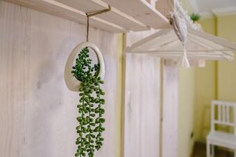 Apartamento Bonito Alojamiento Con Encanto En Zona Rural