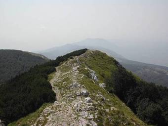 Apartments Villa Brumnic