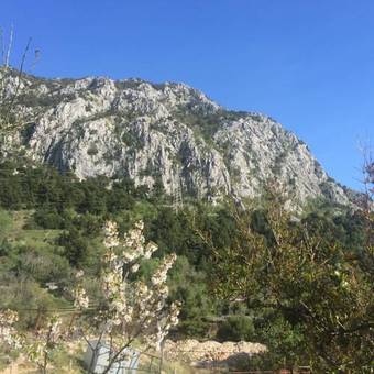 4 Sisters Apartments