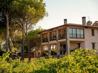 Casa Rural En Bodega. La Posada De Vitis