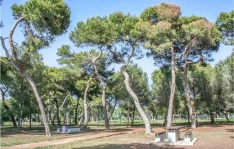 Stunning Apartment In Castelló de La Plana With Wifi And 3 Bedrooms