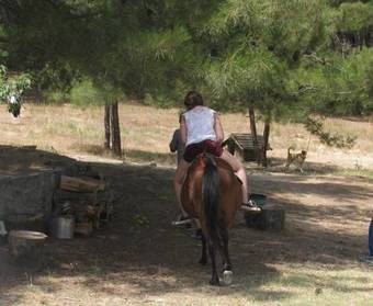 Hotel Dikencik Cottages