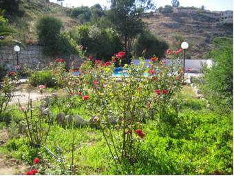 Villa Koula & Villa Alkyon