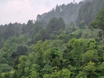 Bed & Breakfast Srinagar Homes