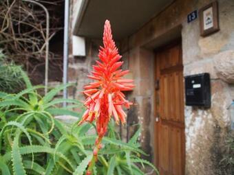 Vivienda Vacacional La Escribana - Casas De Los Picos
